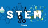 STEM Image
