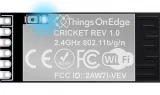 cricket