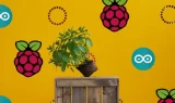 pot-plant-dynamic-yellow