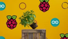 pot-plant-dynamic-yellow
