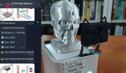Pico Monitors 3D