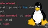 sudo-command