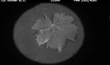 multi-spectral-test-video