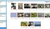 piwigo-with-pure-sky-theme