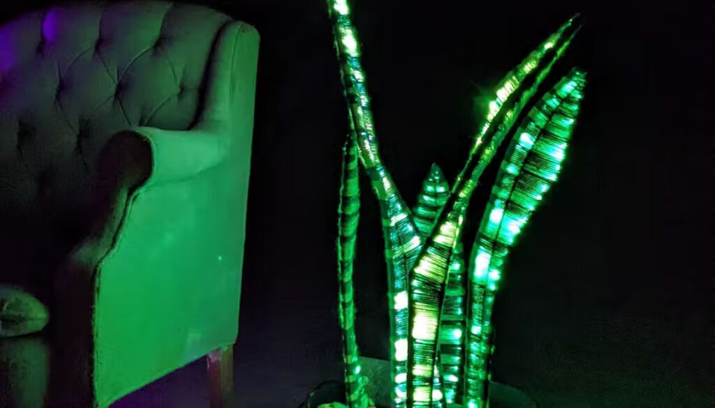 LED Snake Plant