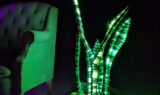 LED Snake Plant