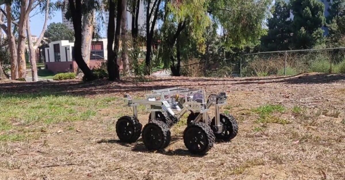 ezgif.com-webp-to-jpg-52