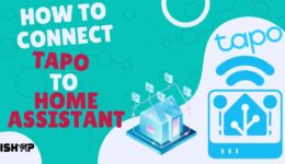 Tapo Home Assistant Wordpress